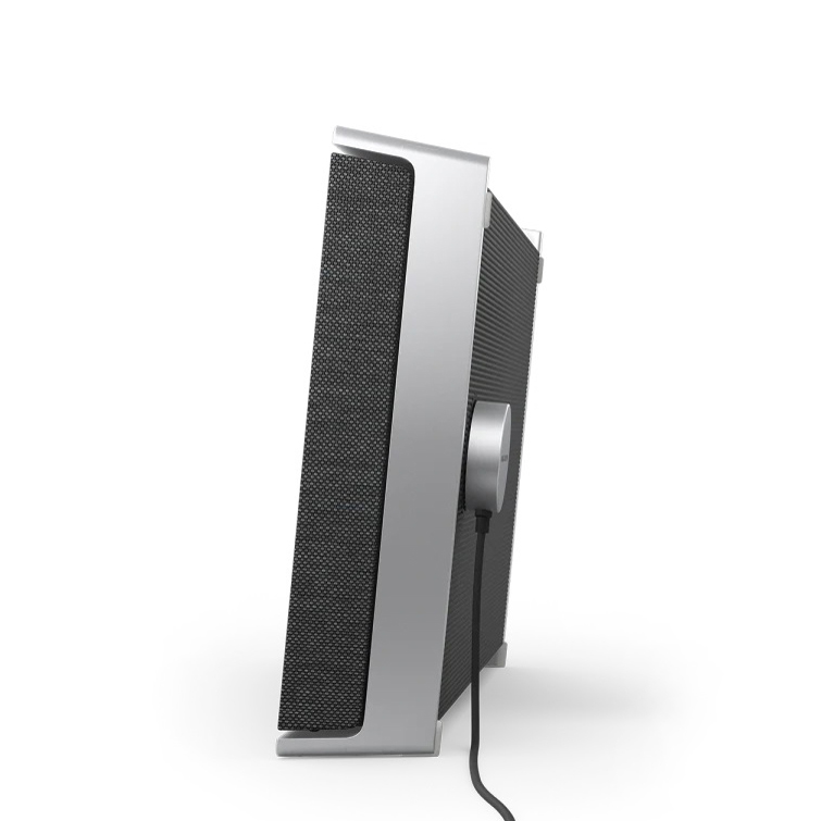Bang & Olufsen Beosound Level Natural/Dark Grey
