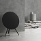 Bang & Olufsen Beoplay A9 4th Generation