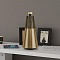 Bang & Olufsen Beosound 2 – витринный образец